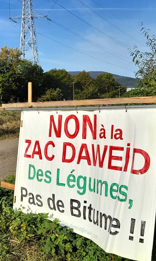 Banderole qui indique "NON à la ZAC Daweid ; Des légumes pas de bitume", accrochée aux abords de la départementale.