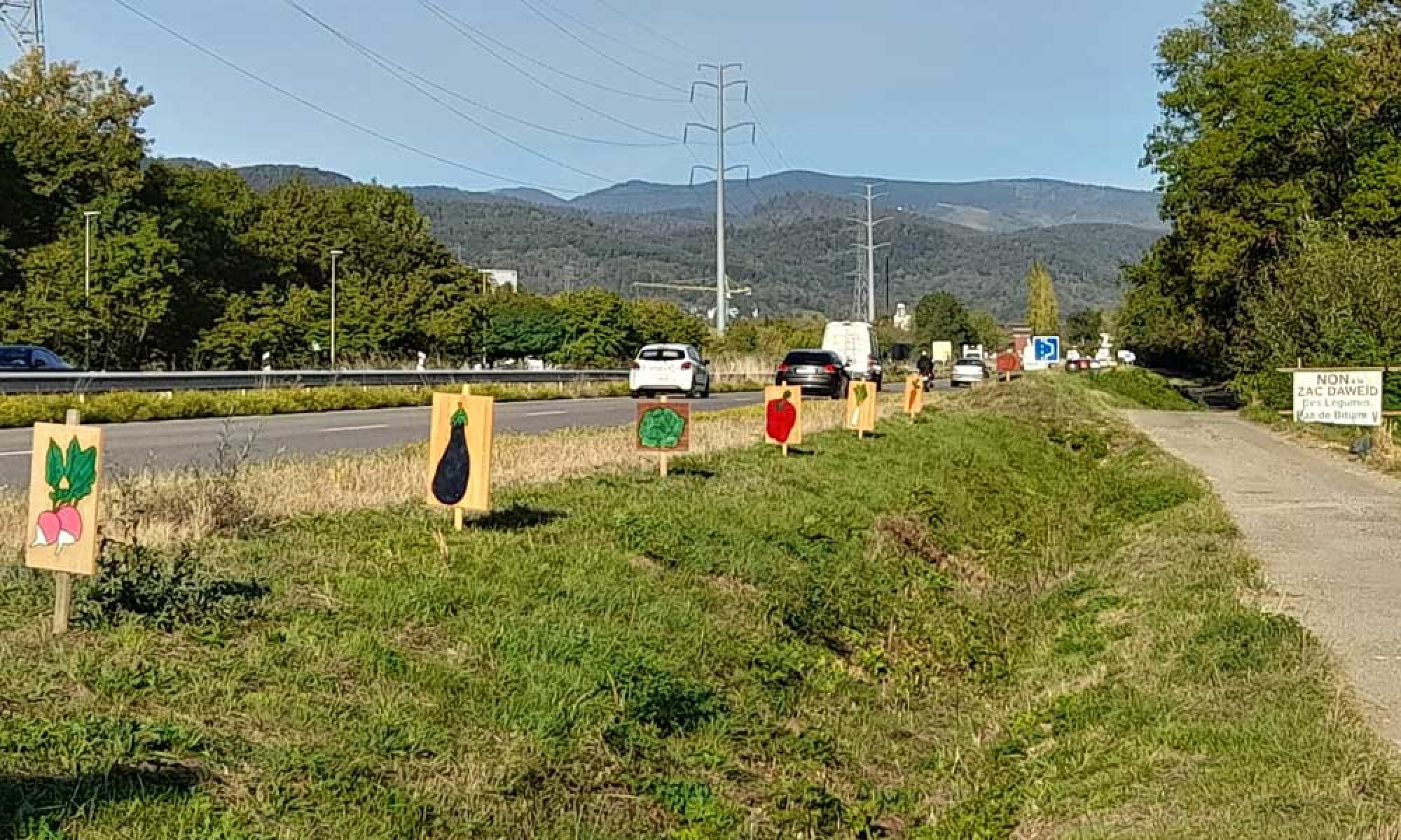 Plan large des panneaux de fruits et légumes plantés juste à côté de la route. Au abords du sentier qui longe le champs, la banderole du collectif est fixée bien en vue des automobilistes.
