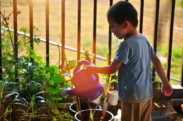 A contre jour, un enfant s'applique à arroser des plantes en pot.