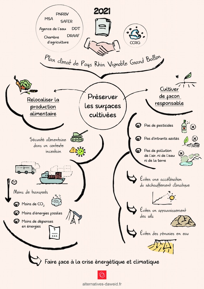Infographie montrant que le Plan climat validé par la CCRG prévoit la préservation des terres agricoles via la relocalisation de la production alimentaire et la culture responsable, ce dans le but d'éviter les risques de pénuries alimentaires , de réduire les coûts liés au transport, d'utiliser moins d'agents chimiques pour ne pas appauvrir la terre, de préserver l'eau et ainsi limiter les effets du changement climatique