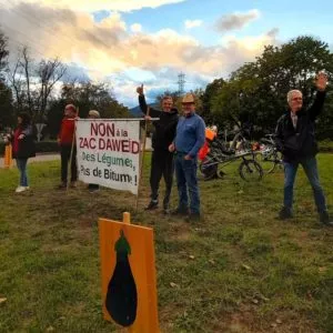 Vue du rond-point de Guebwiller ("Mader") en début de soirée, avec 6 militants et la banderole "NON à la ZAC Daweid ; Des légumes pas de bitume". Au premier plan, un panneau planté dans la terre présente une aubergine géante peinte. Et en arrière plan, des arbres encore verts malgré l'automne bien avancé.