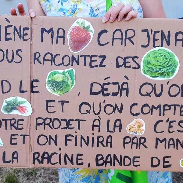 Affiche faite main qui indique "Je ramène ma fraise car j'en ai gros sur la patate, vous racontez des salades et ça me prend le chou, déjà qu'on a plus un radis et qu'on compte pour des prunes, votre projet à la noix, c'est la fin des haricots, et on finira par manger des pissenlits par la racine, bande de cornichons !!"