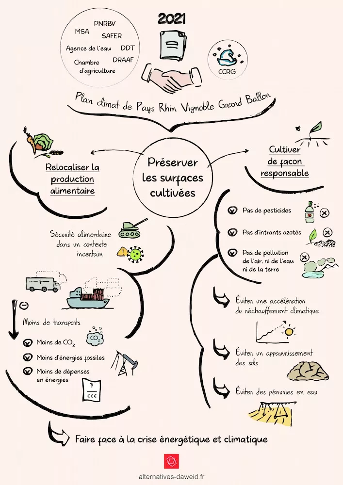 Infographie montrant que le Plan climat validé par la CCRG prévoit la préservation des terres agricoles via la relocalisation de la production alimentaire et la culture responsable, ce dans le but d'éviter les risques de pénuries alimentaires , de réduire les coûts liés au transport, d'utiliser moins d'agents chimiques pour ne pas appauvrir la terre, de préserver l'eau et ainsi limiter les effets du changement climatique